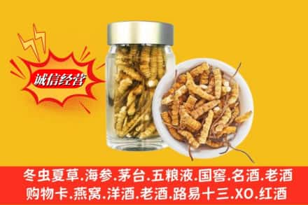 蕲春县回收散虫草