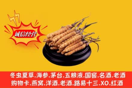 蕲春县求购回收虫草多少钱每克